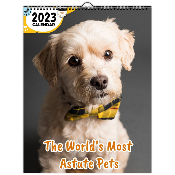 The World's Most Astute Pets: 2023 Wall Calendar