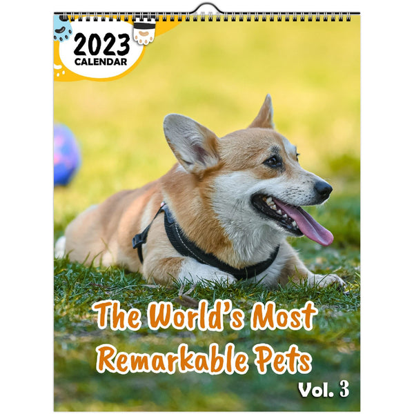 The World's Most Remarkable Pets Volume Three: 2023 Wall Calendar