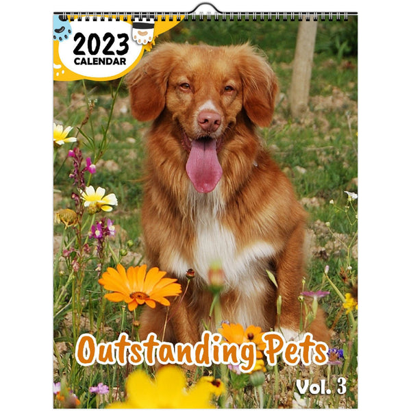 Outstanding Pets Volume Three: 2023 Wall Calendar