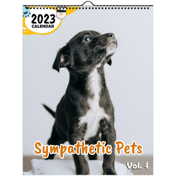 Sympathetic Pets Volume Four: 2023 Wall Calendar