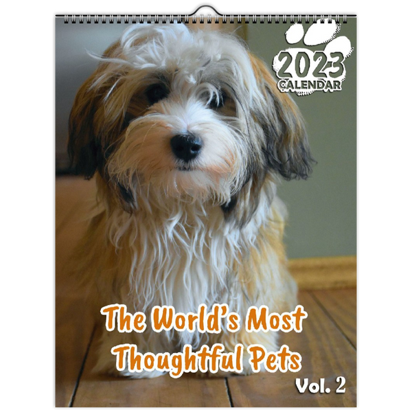 The World's Most Thoughtful Pets Volume Two: 2023 Wall Calendar