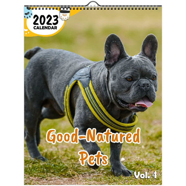 Good-Natured Pets Volume Four: 2023 Wall Calendar