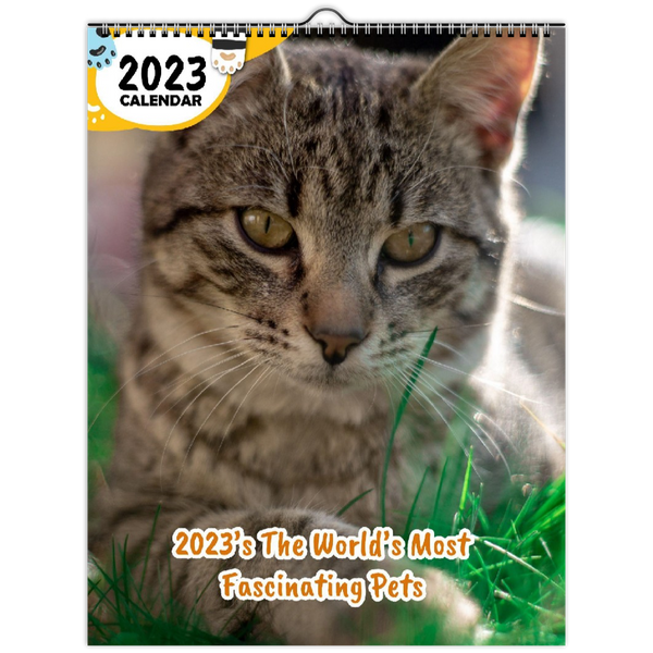 2023's The World's Most Fascinating Pets: 2023 Wall Calendar