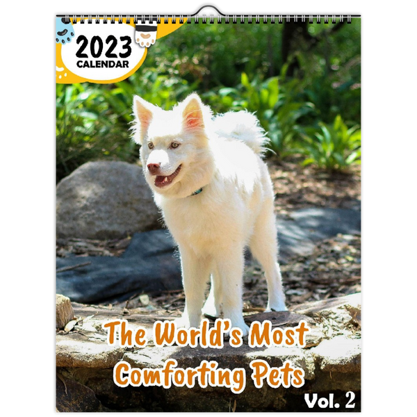 The World's Most Comforting Pets Volume Two: 2023 Wall Calendar