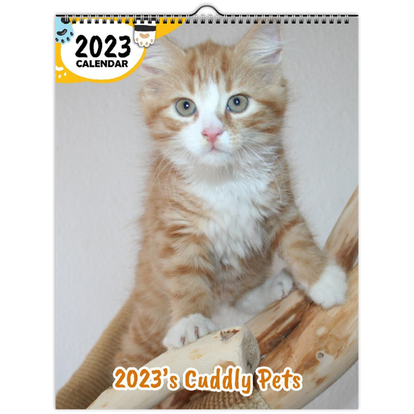 2023's Cuddly Pets: 2023 Wall Calendar