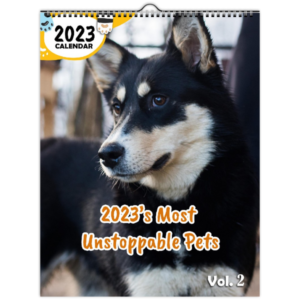 2023's Most Unstoppable Pets Volume Two: 2023 Wall Calendar