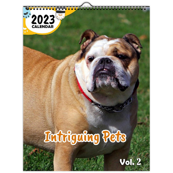 Intriguing Pets Volume Two: 2023 Wall Calendar