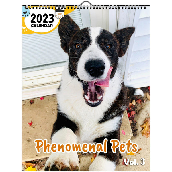 Phenomenal Pets Volume Three: 2023 Wall Calendar