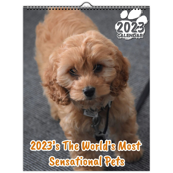 2023's The World's Most Sensational Pets: 2023 Wall Calendar