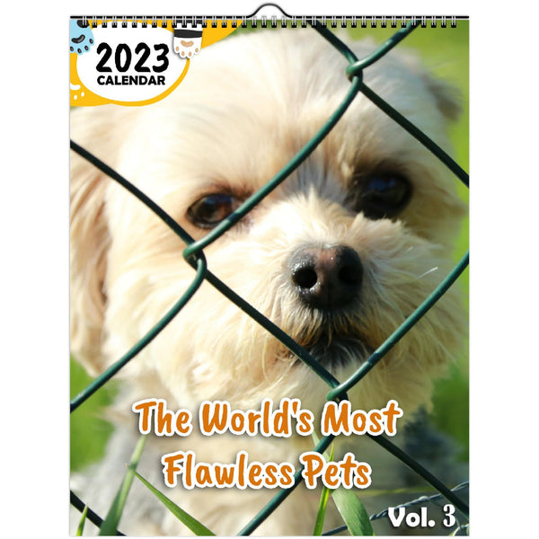 The World's Most Flawless Pets Volume Three: 2023 Wall Calendar