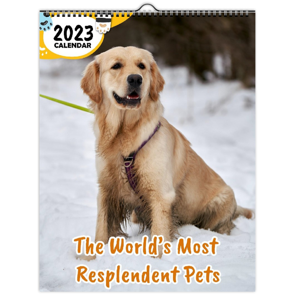 The World's Most Resplendent Pets: 2023 Wall Calendar