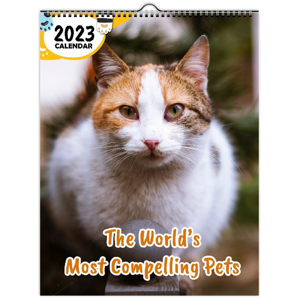 The World's Most Compelling Pets: 2023 Wall Calendar