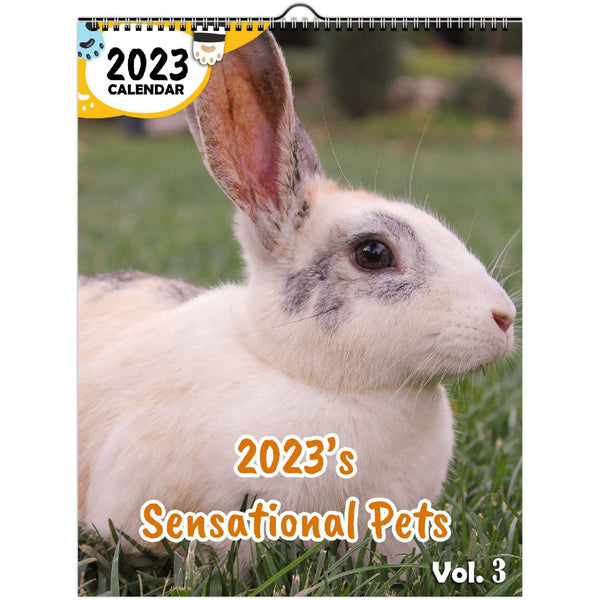 2023's Sensational Pets Volume Three: 2023 Wall Calendar