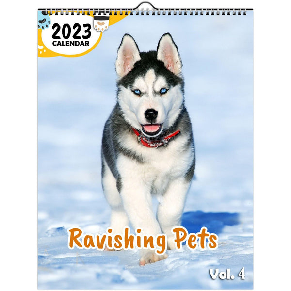 Ravishing Pets Volume Four: 2023 Wall Calendar