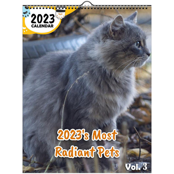 2023's Most Radiant Pets Volume Three: 2023 Wall Calendar