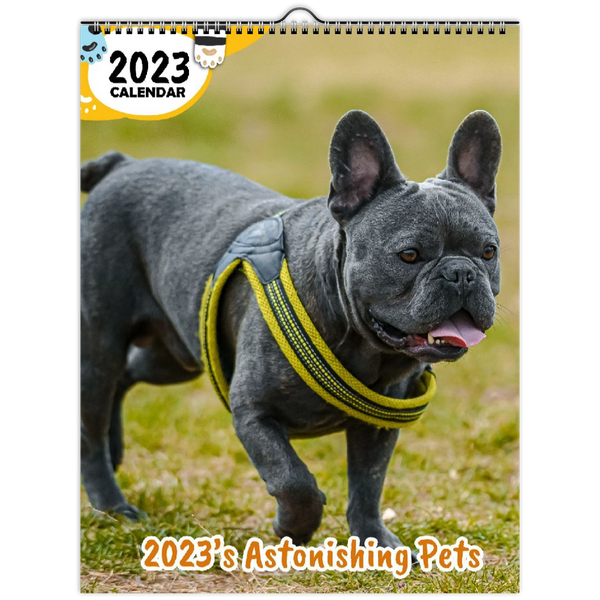 2023's Astonishing Pets: 2023 Wall Calendar