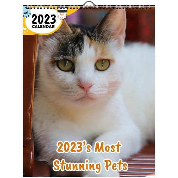 2023's Most Stunning Pets: 2023 Wall Calendar