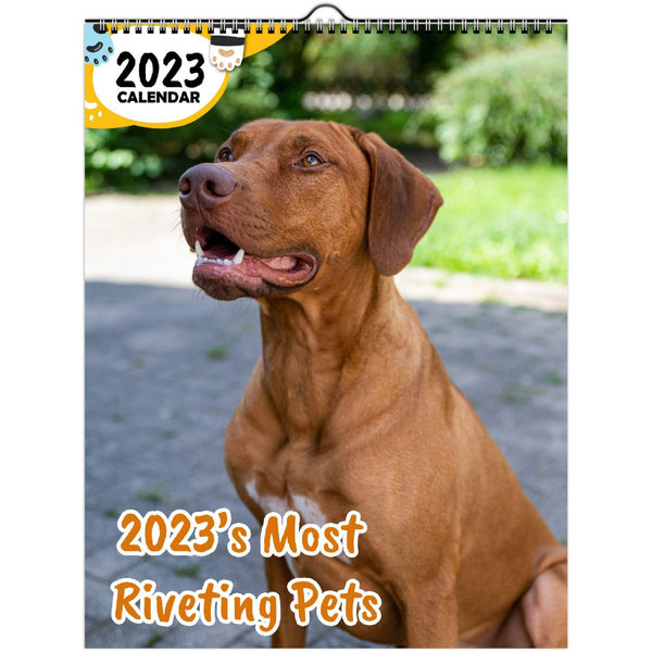 2023's Most Riveting Pets: 2023 Wall Calendar