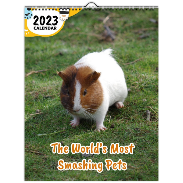 The World's Most Smashing Pets: 2023 Wall Calendar