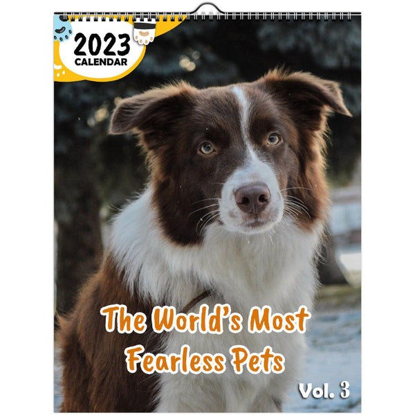 The World's Most Fearless Pets Volume Three: 2023 Wall Calendar