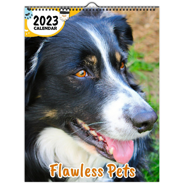 Flawless Pets: 2023 Wall Calendar
