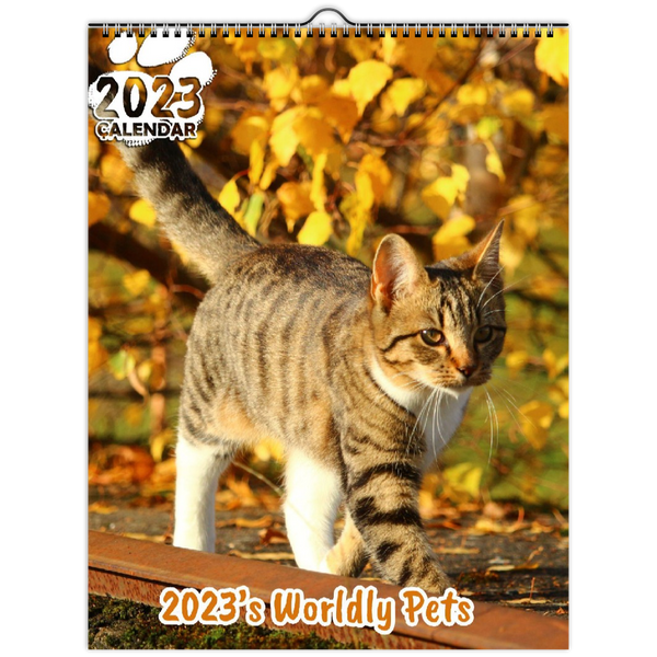 2023's Worldly Pets: 2023 Wall Calendar