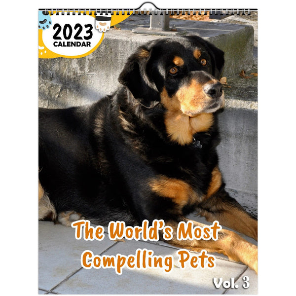 The World's Most Compelling Pets Volume Three: 2023 Wall Calendar