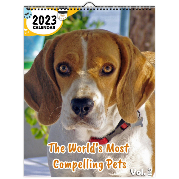 The World's Most Compelling Pets Volume Two: 2023 Wall Calendar