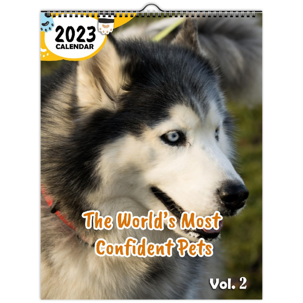 The World's Most Confident Pets Volume Two: 2023 Wall Calendar