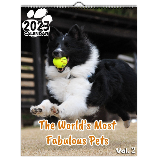 The World's Most Fabulous Pets Volume Two: 2023 Wall Calendar