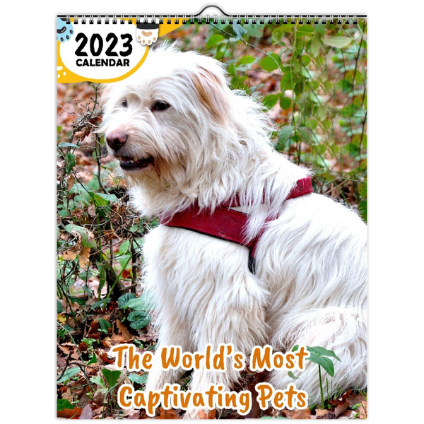 The World's Most Captivating Pets: 2023 Wall Calendar