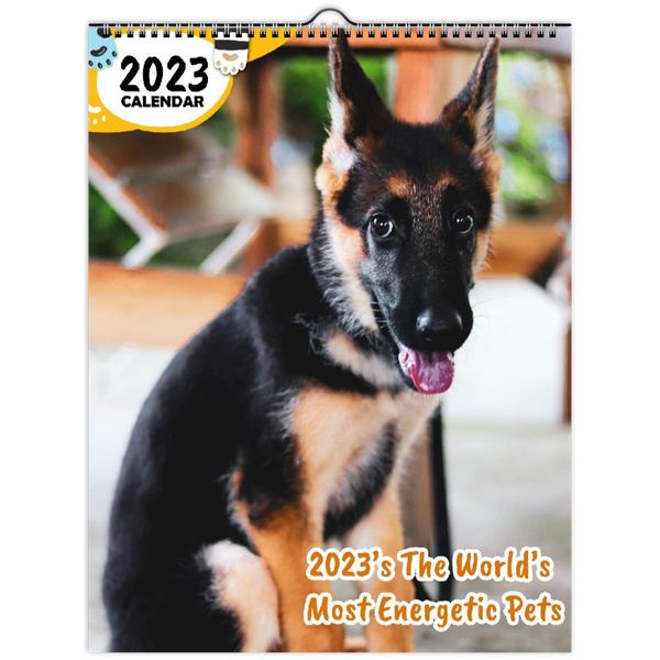 2023's The World's Most Energetic Pets: 2023 Wall Calendar