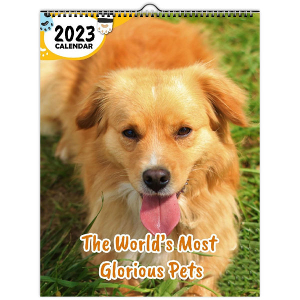 The World's Most Glorious Pets: 2023 Wall Calendar