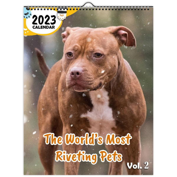 The World's Most Riveting Pets Volume Two: 2023 Wall Calendar