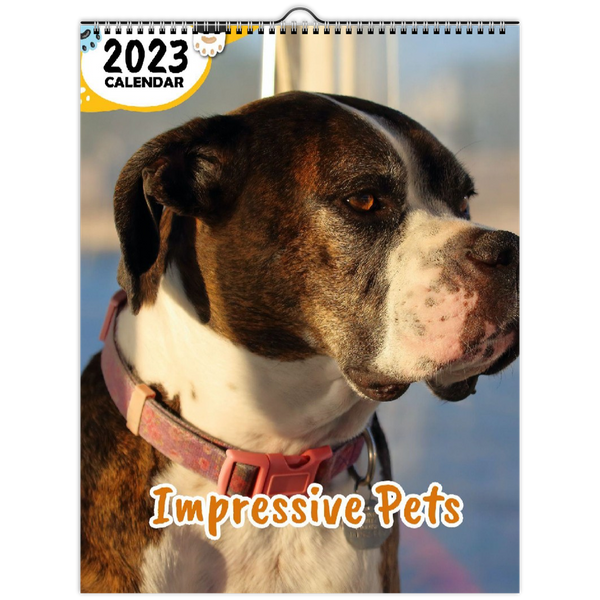 Impressive Pets: 2023 Wall Calendar