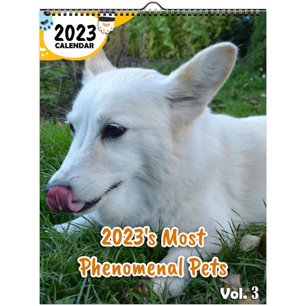 2023's Most Phenomenal Pets Volume Three: 2023 Wall Calendar