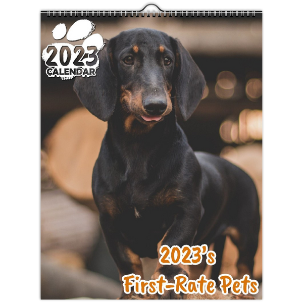 2023's First-Rate Pets: 2023 Wall Calendar