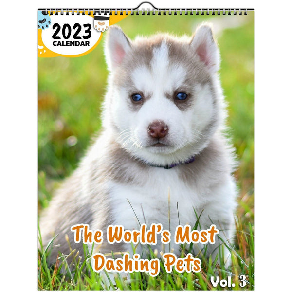 The World's Most Dashing Pets Volume Three: 2023 Wall Calendar