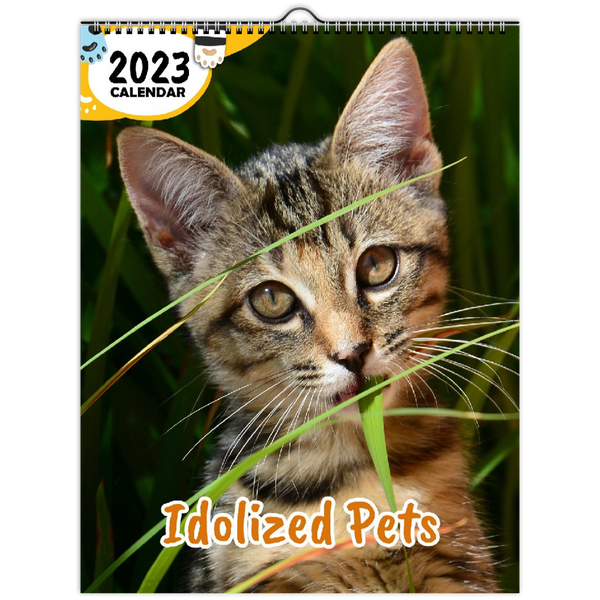 Idolized Pets: 2023 Wall Calendar