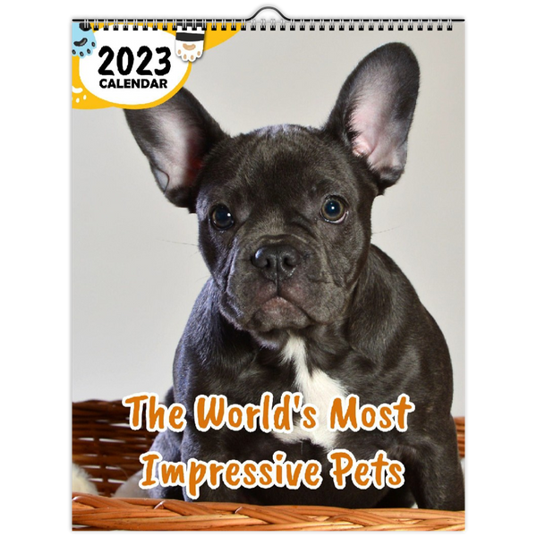 The World's Most Impressive Pets: 2023 Wall Calendar