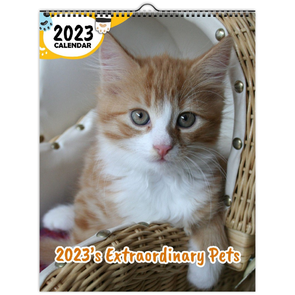 2023's Extraordinary Pets: 2023 Wall Calendar