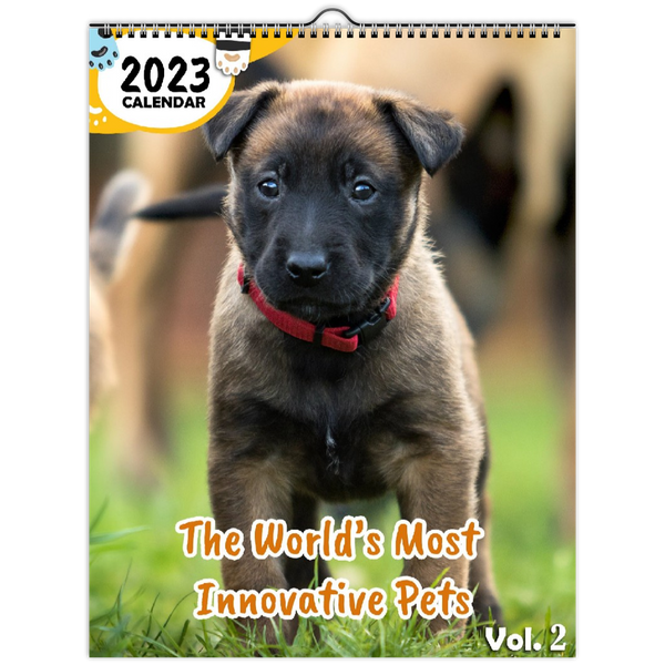 The World's Most Innovative Pets Volume Two: 2023 Wall Calendar