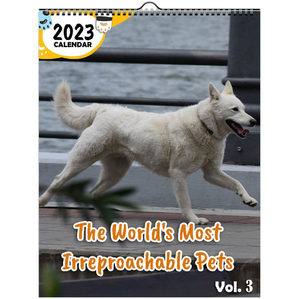 The World's Most Irreproachable Pets Volume Three: 2023 Wall Calendar