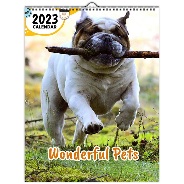 Wonderful Pets: 2023 Wall Calendar