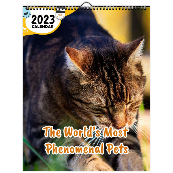 The World's Most Phenomenal Pets: 2023 Wall Calendar