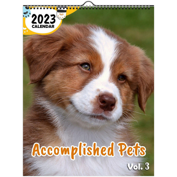 Accomplished Pets Volume Three: 2023 Wall Calendar