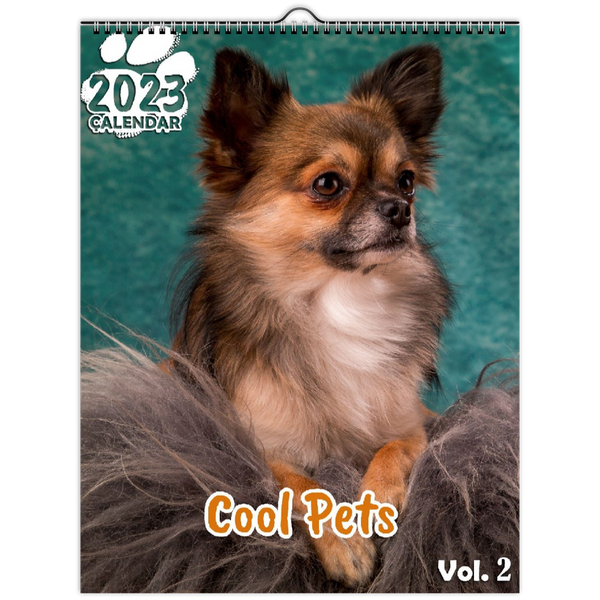 Cool Pets Volume Two: 2023 Wall Calendar