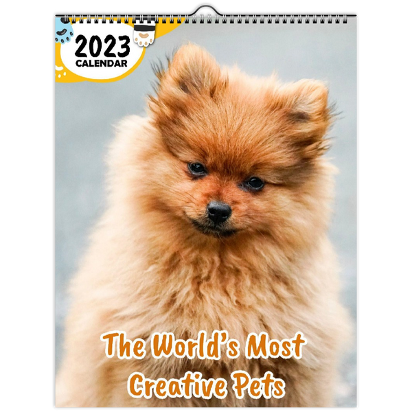 The World's Most Creative Pets: 2023 Wall Calendar