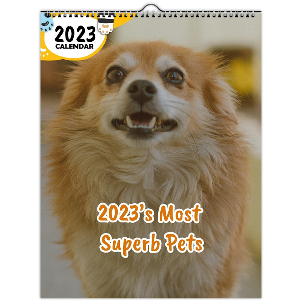 2023's Most Superb Pets: 2023 Wall Calendar