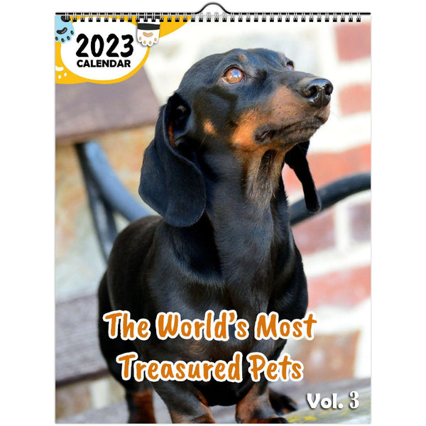 The World's Most Treasured Pets Volume Three: 2023 Wall Calendar